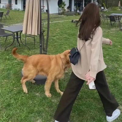 邮差总按两次铃